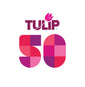 Tulip Color Crafts