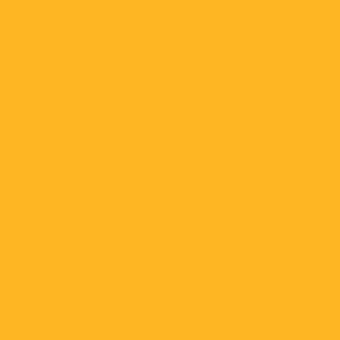 Picture of 41411 Tulip Dimensional Fabric Paint Slick Fluorescent Orange 4 oz.